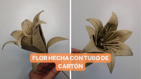 CON ROLLOS DE PAPEL HIGIÉNICO HARÁS ESTA BELLA FLOR