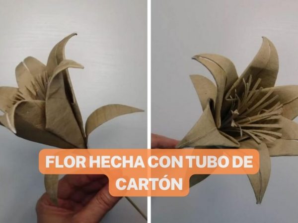 CON ROLLOS DE PAPEL HIGIÉNICO HARÁS ESTA BELLA FLOR