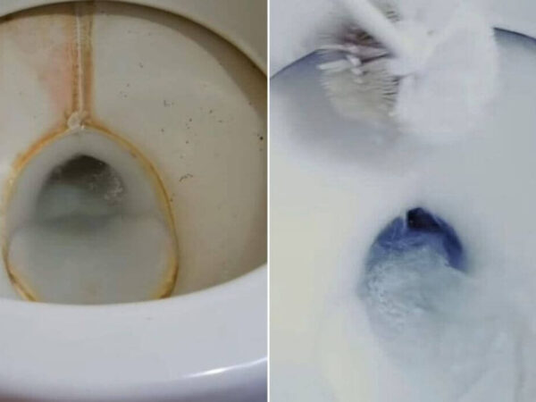 Aprended El Mejor Truco Para Quitar El Sarro Y Las Manchas Del Inodoro Fácilmente