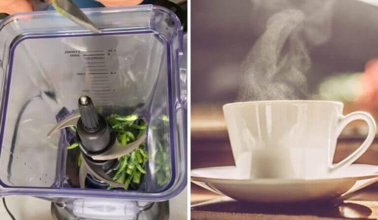 Preparación sencilla: batidos e infusiones para aprovechar al máximo sus propiedades.