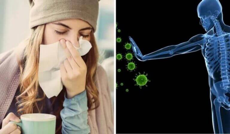 Proteged vuestro sistema inmune: combatid resfriados con soluciones naturales y saludables.