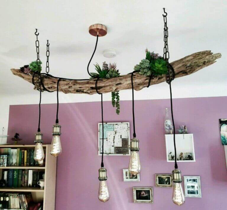 Lámpara colgante con tronco, suculentas y bombillas vintage en salón con pared violeta.