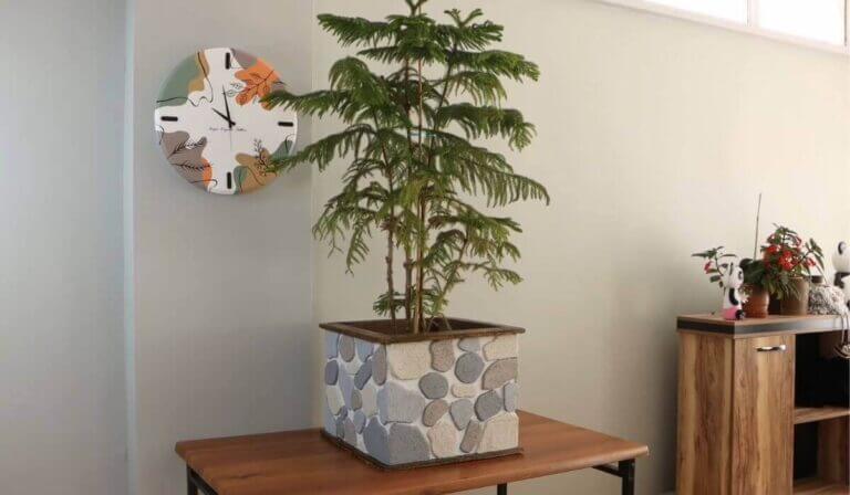 Resultado final: rústico diseño de piedra colocado como decoración del hogar.