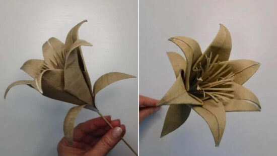 Nunca Pensaste Que Harías Flores Con Rollos De Papel Higiénico