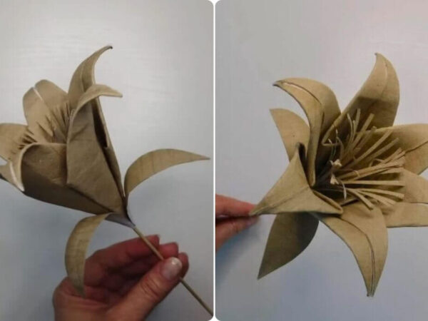 Nunca Pensaste Que Harías Flores Con Rollos De Papel Higiénico