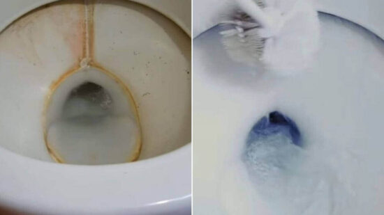 Aprended El Mejor Truco Para Quitar El Sarro Y Las Manchas Del Inodoro Fácilmente