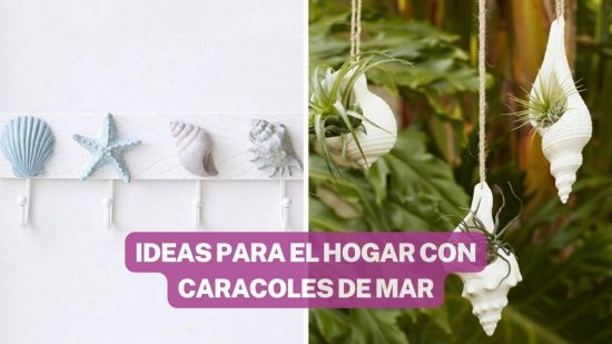 IDEAS ÚTILES PARA EL HOGAR Y APROVECHAR LOS CARACOLES DE MAR